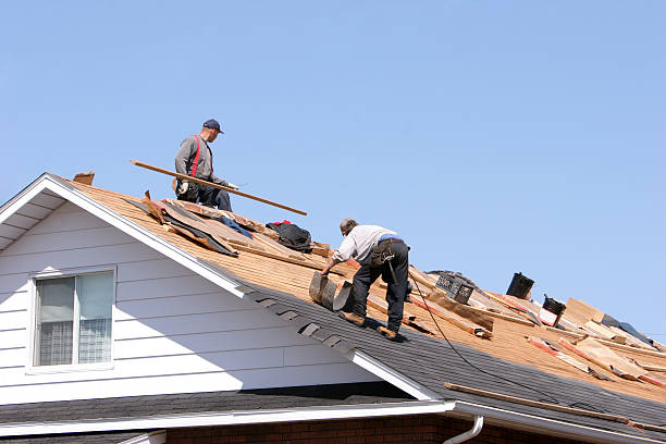 Best Roof Moss and Algae Removal  in East Norwich, NY